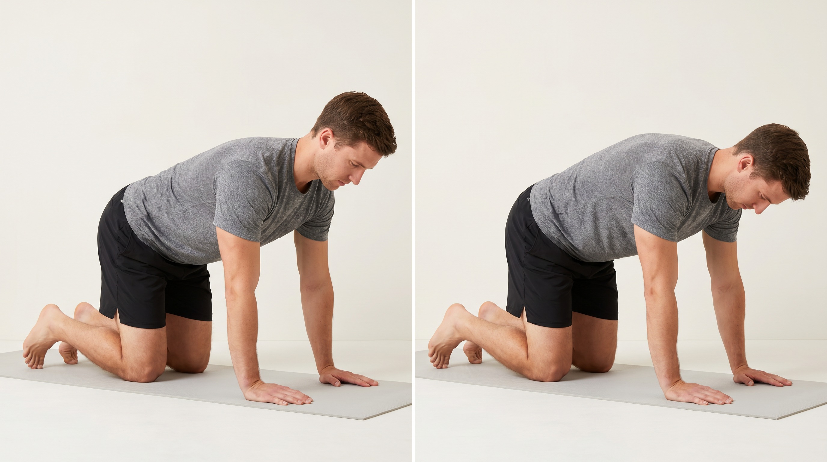 Quadruped Scapular Push, bovenrugoefening